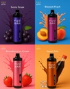 FIZZ BAR Disposable - Sunny Grape - 8000 Puffs